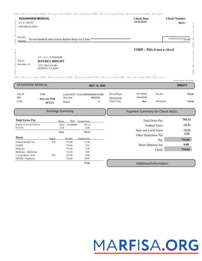 Realistic Oceanview Medical Paystub real example